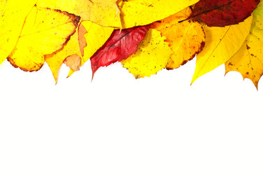 Similar image 11958457