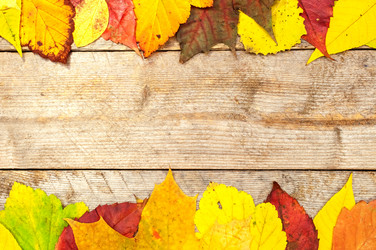 Similar image 11958485