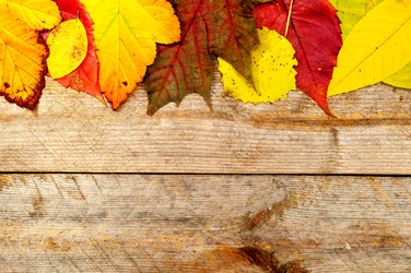 Similar image 11958486