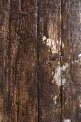 Similar image 11960241