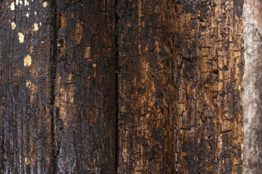 Similar image 11960391