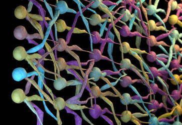 Similar image 11961108