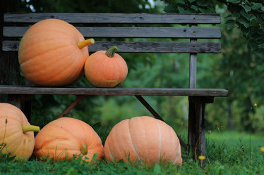 Similar image 12036380