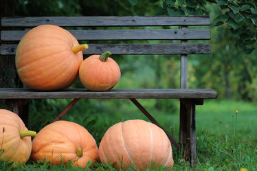 Similar image 12038380