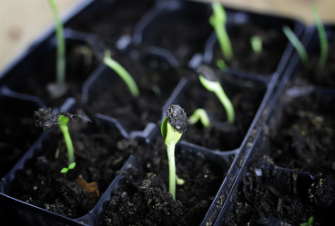 Similar image 12037189