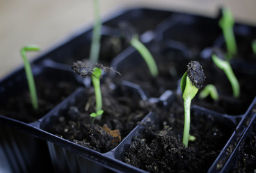 Similar image 12037326