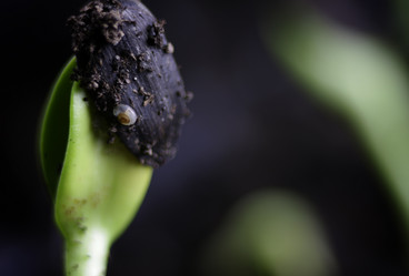 Similar image 12038381