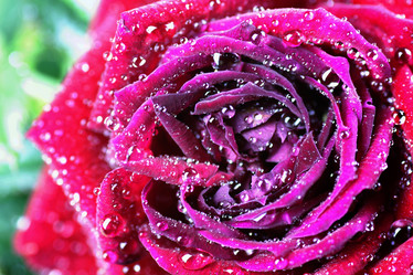 Similar image 11965338