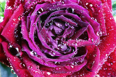 Similar image 11965356