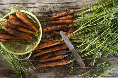 Similar image 11960395