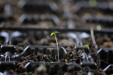 Similar image 12037393