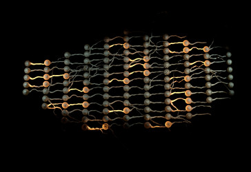 Similar image 11961159