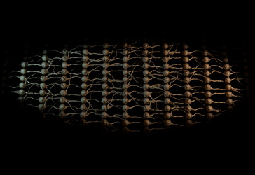 Similar image 11961160