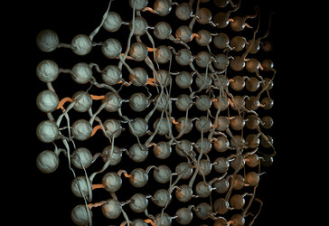 Similar image 11961161