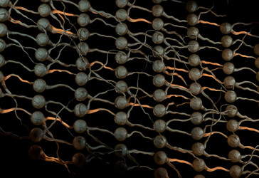 Similar image 11961211