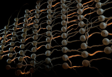 Similar image 11961110