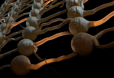 Similar image 11961543