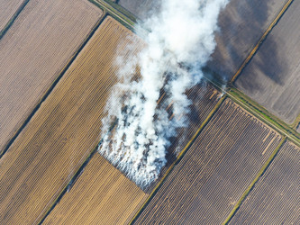 Similar image 11969274