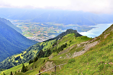 Similar image 11960674