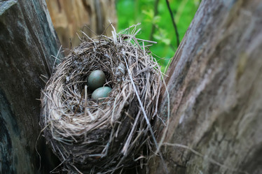 Similar image 11967086