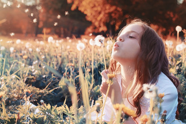 Similar image 11965370