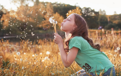 Similar image 12036406