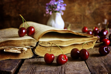 Similar image 12038416