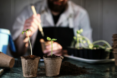 Similar image 11967103