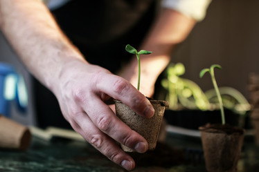 Similar image 12036408