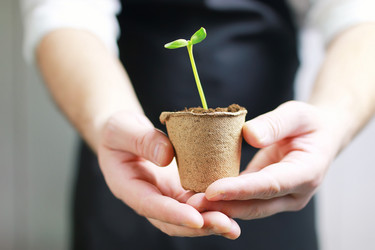 Similar image 12036450