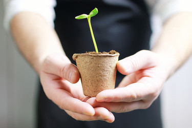 Similar image 12037483