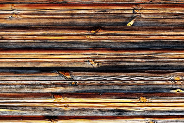 Similar image 12036410