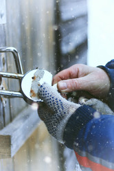 Similar image 12037506