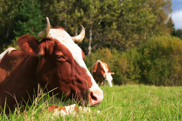 Similar image 11959182