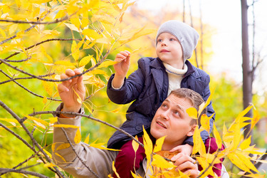 Similar image 11963454