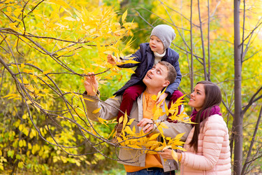 Similar image 11963378