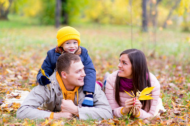 Similar image 11963538