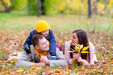 Similar image 11963539