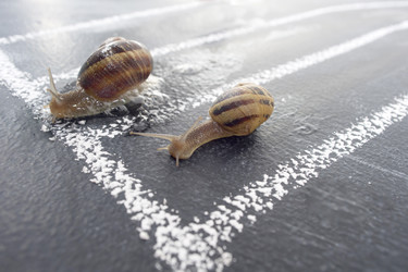 Similar image 11960244