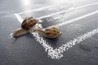 Similar image 11960245