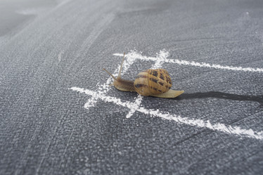 Similar image 11960248