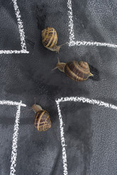 Similar image 11960250