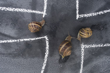 Similar image 11960251