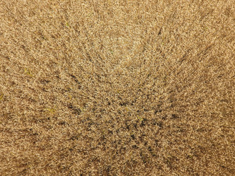 Similar image 11969279