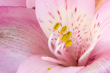 Similar image 11969466