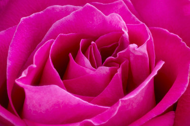 Similar image 11969467