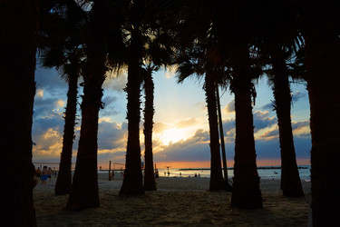 Similar image 12036901