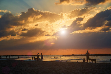 Similar image 12036902