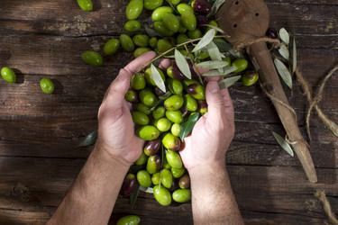 Similar image 11960404