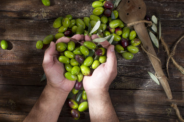 Similar image 11960405